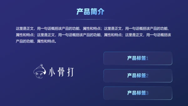 产品公司项目介绍分析通用PPT模板