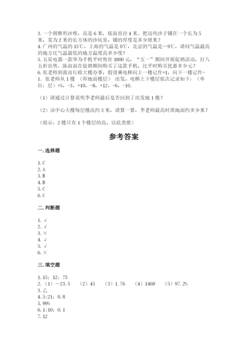 嘉善县六年级下册数学期末测试卷1套.docx