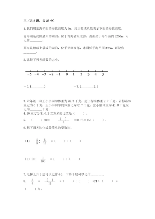 苏教版数学小升初模拟试卷含答案ab卷.docx