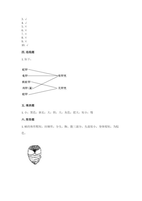 教科版科学三年级下册 期末测试卷精品（实用）.docx