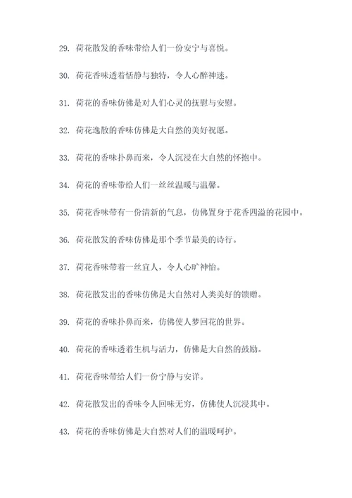 关于荷花香味的好词好句