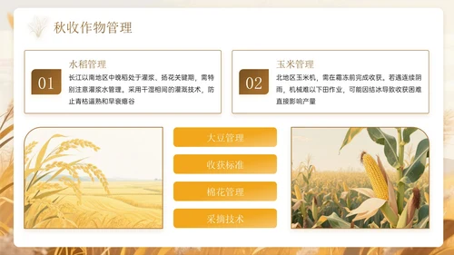 棕色系中国风秋分节气PPT模板