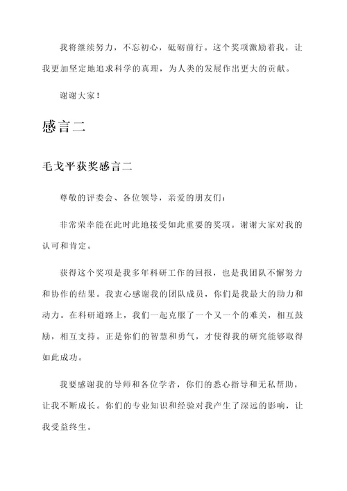 毛戈平获奖感言