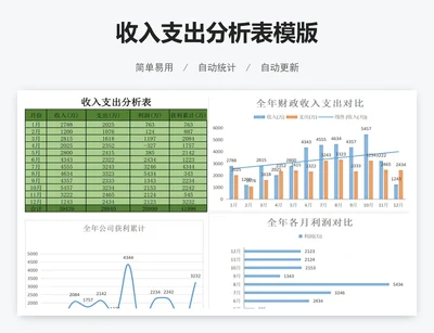 收入支出分析表模版