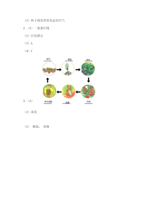 科学四年级下册第一单元植物的生长变化测试卷精品（满分必刷）.docx