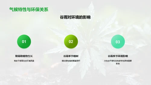 谷雨节气与环保