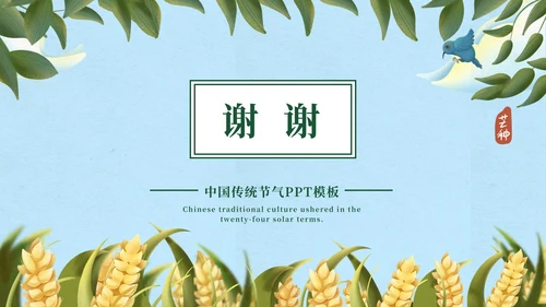 蓝色清新中国传统芒种节气PPT模板