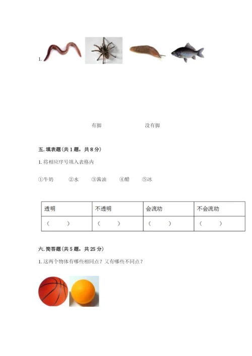 教科版小学科学一年级下册期末测试卷附参考答案ab卷.docx