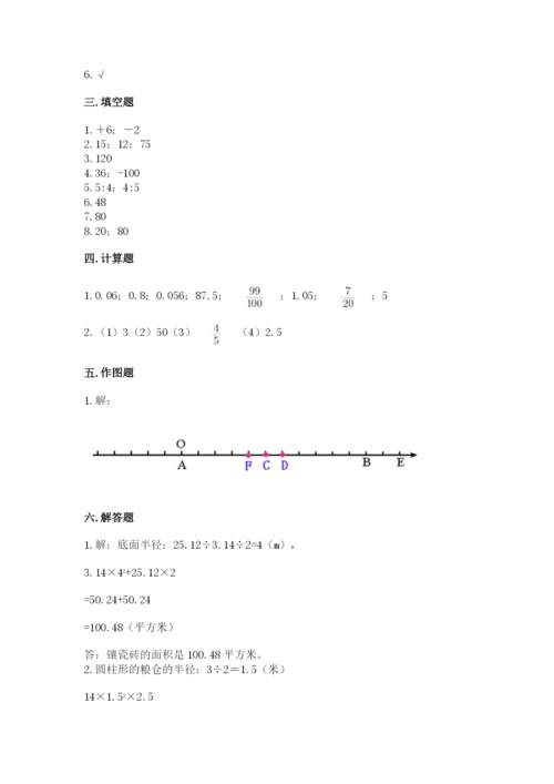 人教版六年级下册数学期末测试卷【考点精练】.docx