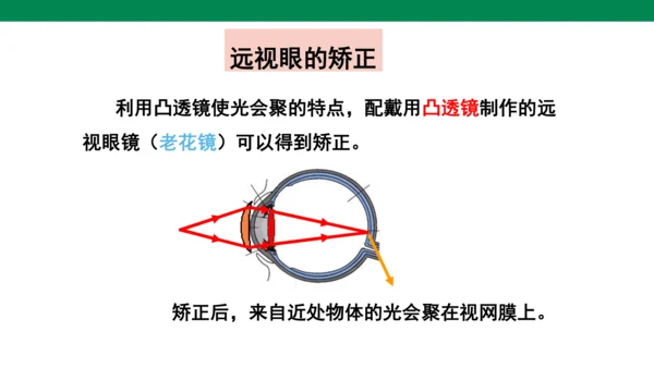 人教版第五章透镜及其应用第4节眼睛和眼镜 课件 (共23张PPT)
