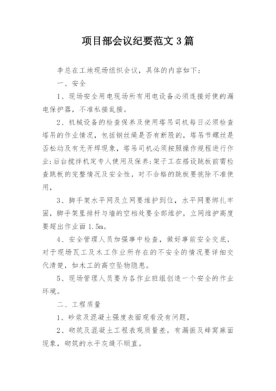 项目部会议纪要范文3篇.docx