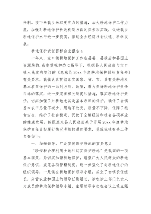 耕地保护责任目标自查报告.docx