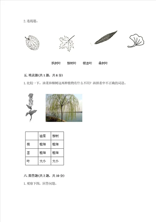 教科版科学一年级上册第一单元植物测试卷及参考答案名师推荐