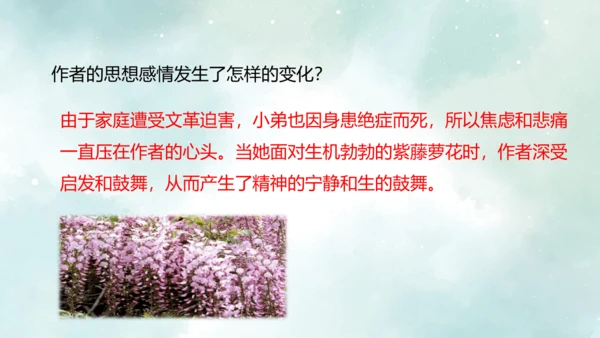 第18课 紫藤萝瀑布 课件(共27张PPT)