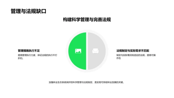 林业生态保护报告PPT模板