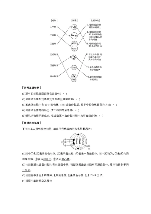 浙江选考202x版高考生物新导学大一轮复习 第11讲 减数分裂中的染色体行为讲义