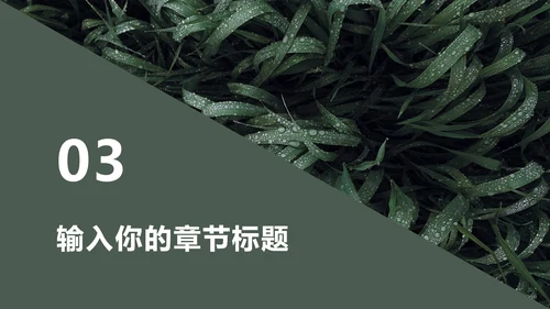 墨绿INS风小清新实景草地教学PPT模板