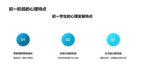 初一学年总结与展望