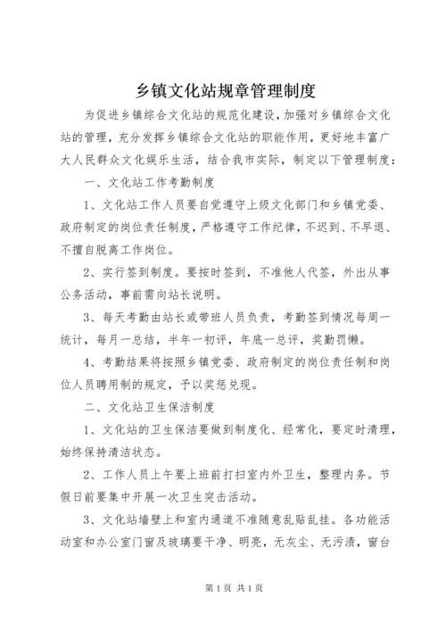 乡镇文化站规章管理制度.docx