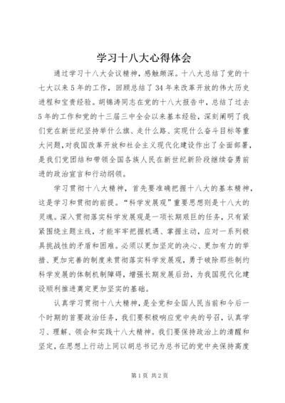 学习十八大心得体会 (29).docx