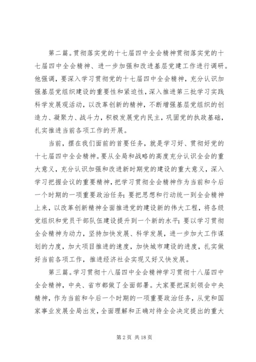 学习贯彻落实党的十八届四中全会精神.docx