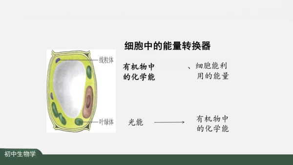 2.1.4  细胞的生活 课件（共26张PPT）