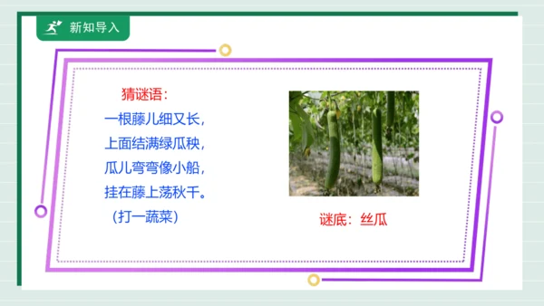 【核心素养目标】主题四 活动一《会爬的蔬菜》课件-【东北师大版】《劳动实践》二上