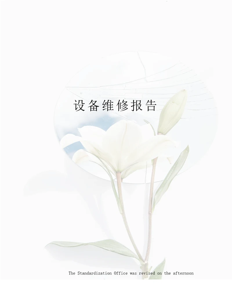 设备维修报告