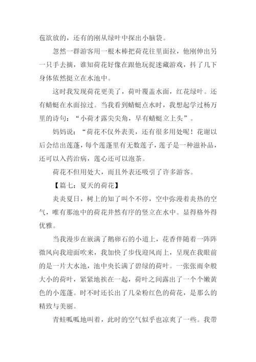 夏天的荷花作文200字.docx