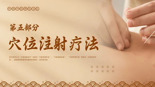 棕色简约中医适宜技术PPT模板宣传PPT动态PPT