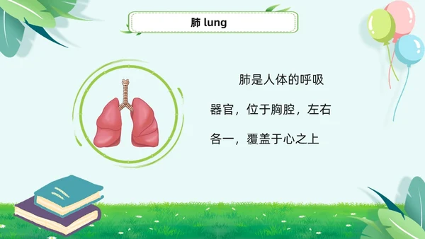 绿色小清新淡雅简约身体器官知多少幼儿园医学科普课件PPT