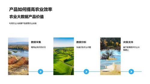 掌握农业大数据