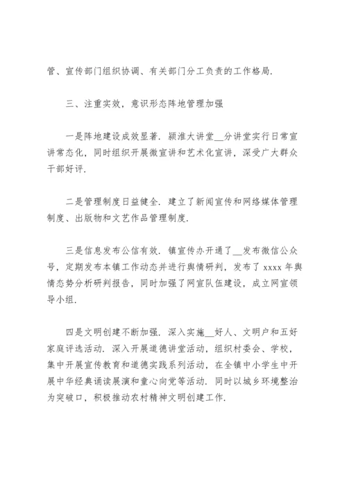 乡镇意识形态工作责任制落实情况.docx