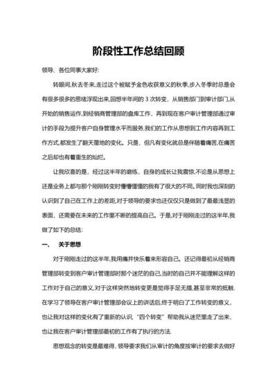 半年度阶段性工作总结.docx