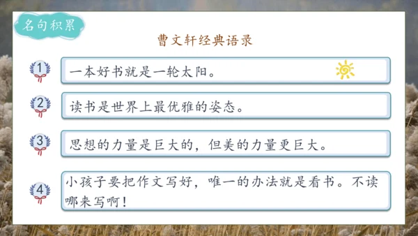 【核心素养】部编版语文四年级下册-21.芦花鞋（课件）