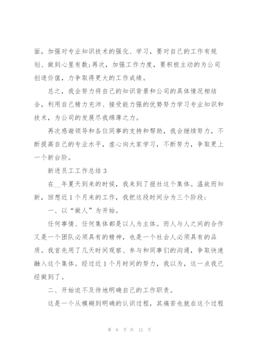 新进员工工作总结2022年5篇.docx