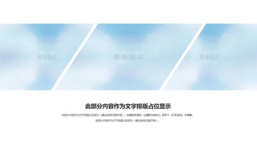 精美企业宣传画册企业文化展示PPT模板