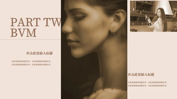 咖色欧美商务商业计划书PPT模板