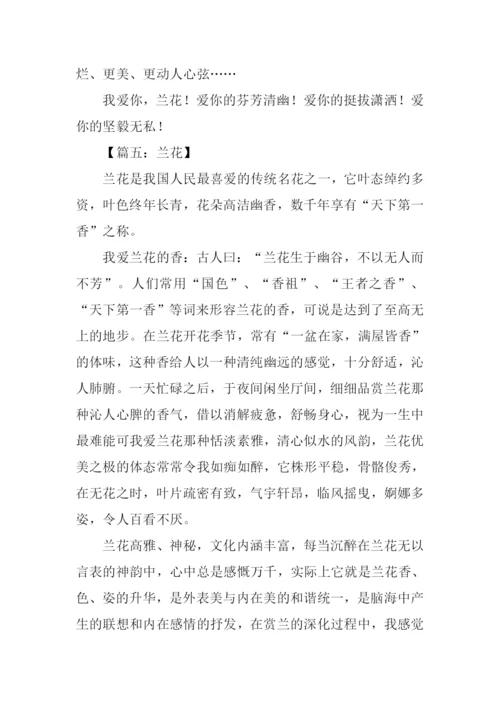 兰花作文400字0.docx