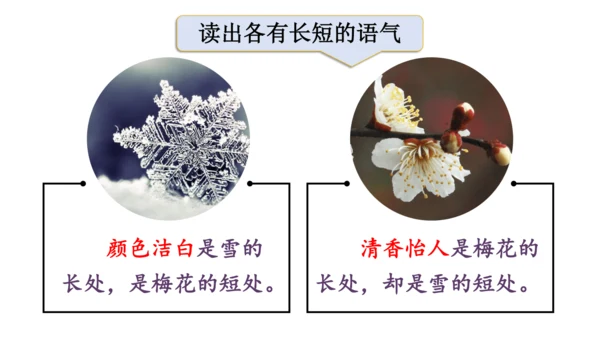 2024年秋部编版四年级上册9.《古诗三首》（课件 ）