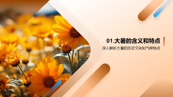 大暑营销策略解析