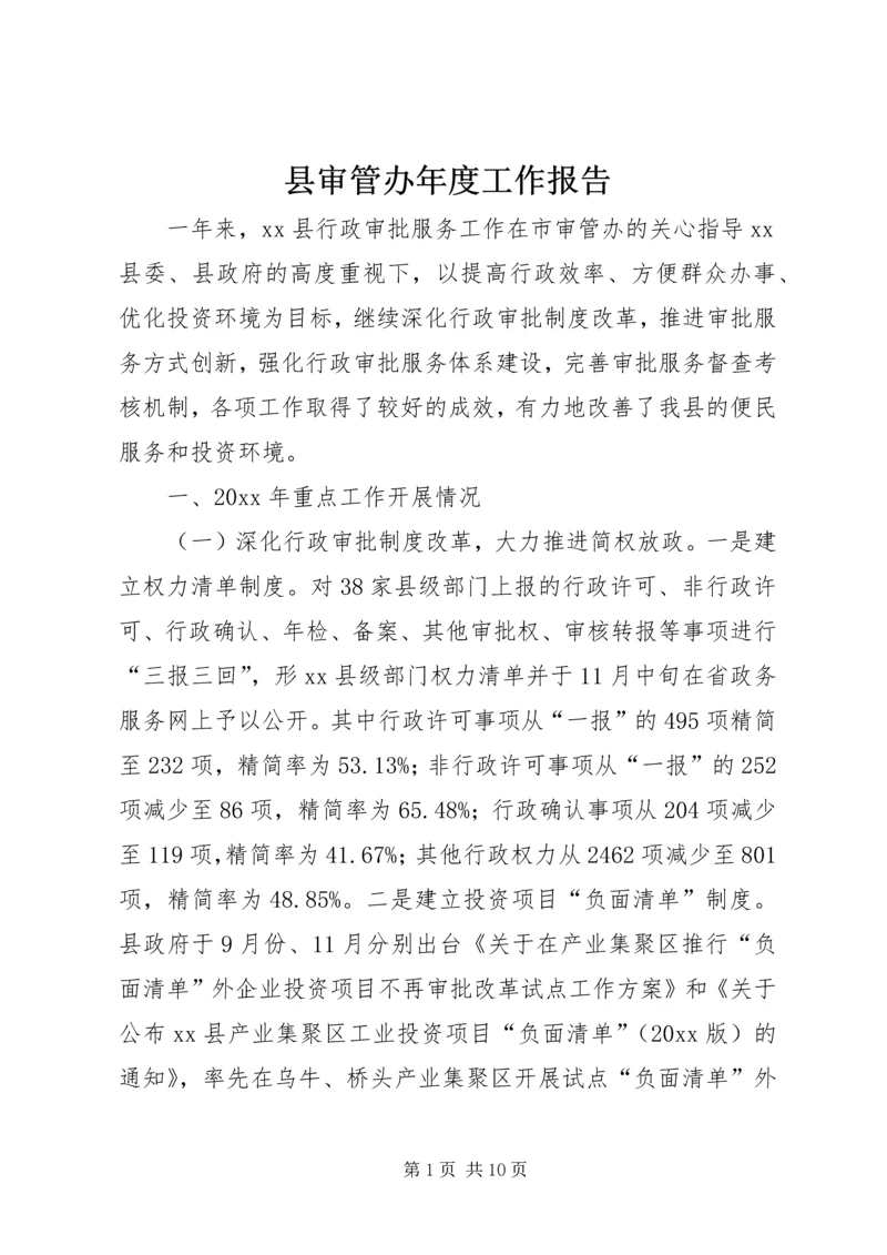 县审管办年度工作报告.docx