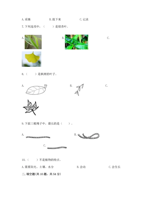 教科版一年级上册科学期末测试卷【b卷】.docx