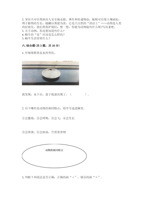 教科版一年级下册科学期末测试卷精品【b卷】.docx