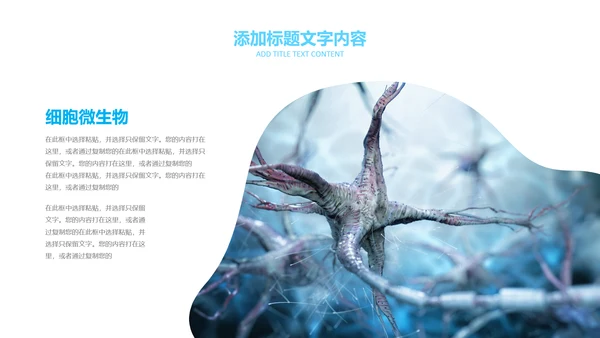 医疗细菌病毒微生物细胞组织动态ppt模板