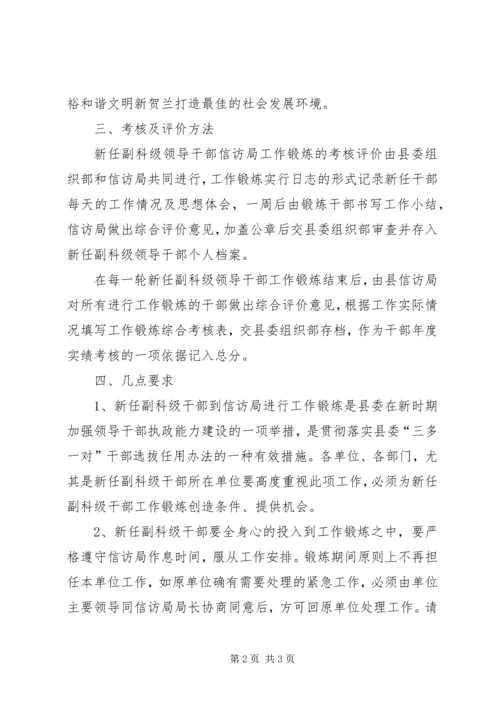 干部工作锻炼安排意见.docx