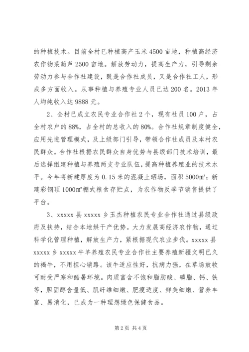 全国一村一品示范村申报书.docx