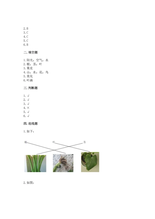 教科版科学一年级上册第一单元《植物》测试卷【名校卷】.docx