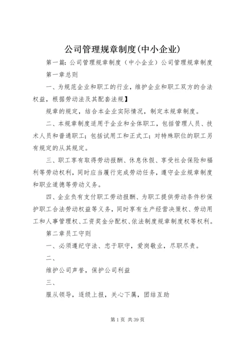 公司管理规章制度(中小企业).docx