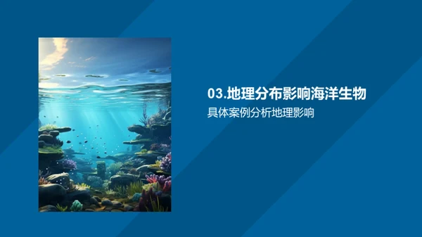 海洋生物与地理环境